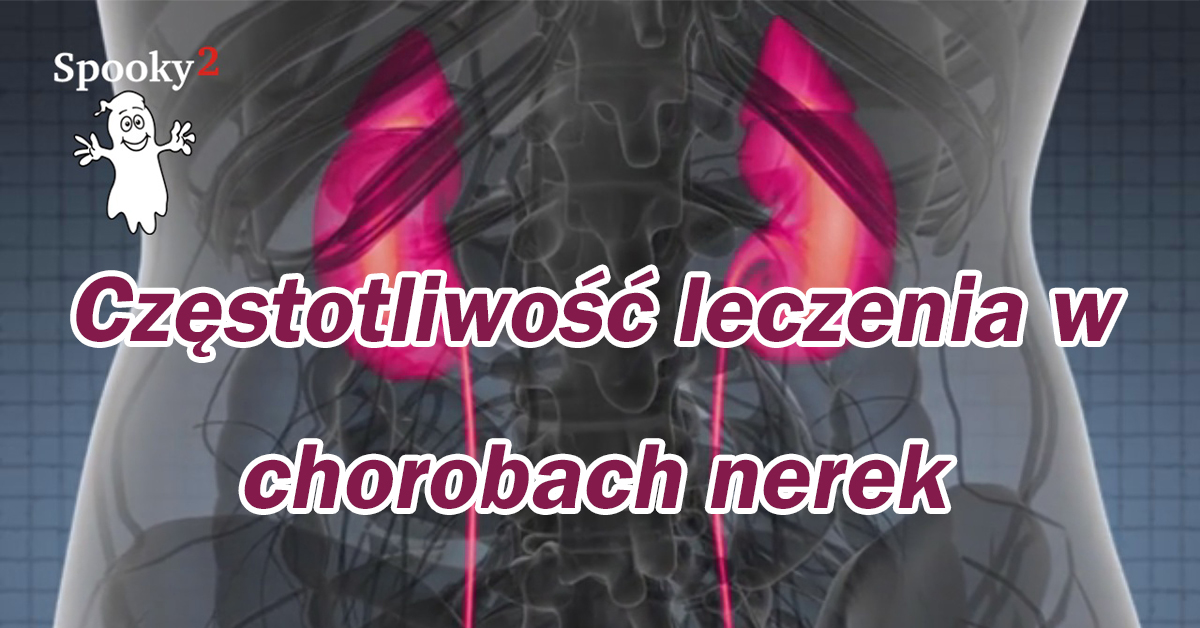 Częstotliwość leczenia w chorobach nerek - Leczenie częstotliwości Spooky2 Rife