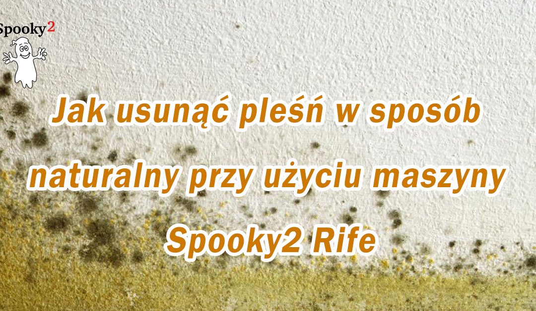 Jak usunąć pleśń w sposób naturalny przy użyciu maszyny Spooky2 Rife